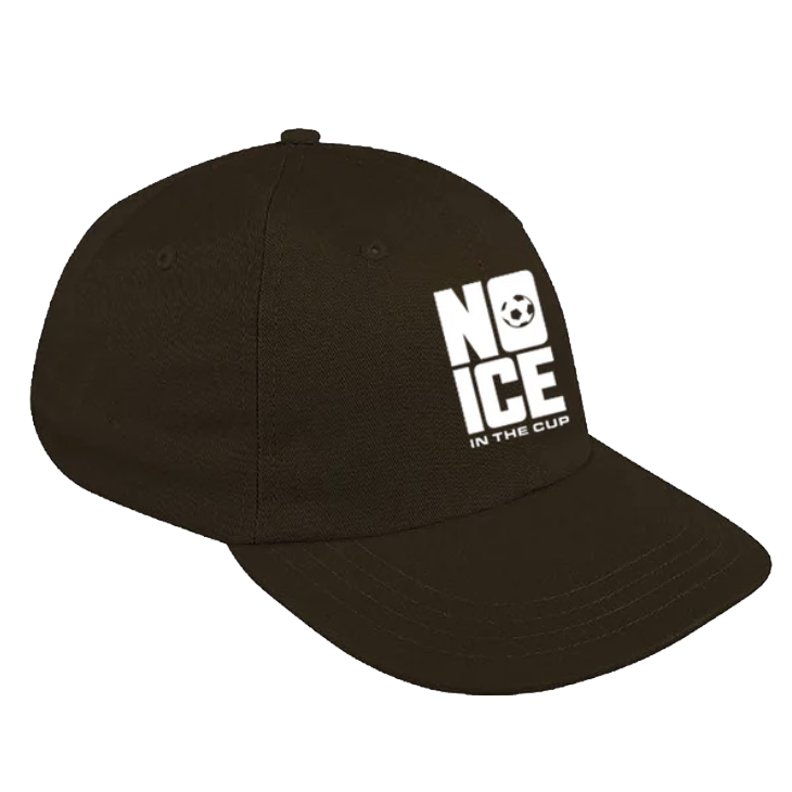 No ICE in the Cup Ball Cap